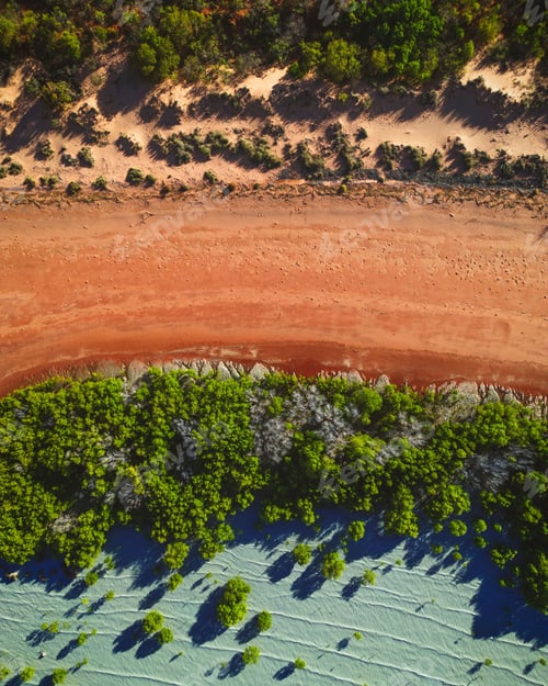 Preview: Aerial view of a sandy road surrounded by green trees