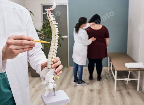 Preview: Back pain treatment. Physiotherapist using spine anatomical model to analyze patient spine problem