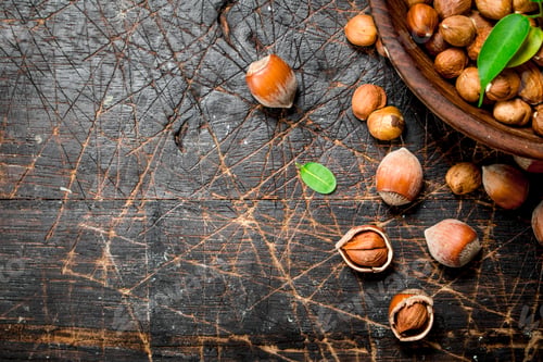 Preview: Shelled hazelnuts with leaves in a bowl .