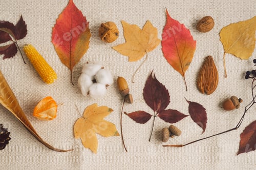 Vorschau: Wunderschöner herbstlicher saisonaler Hintergrund.