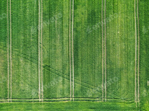Preview: Aerial view of a spring field