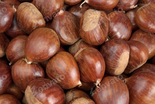 Preview: Chestnuts background