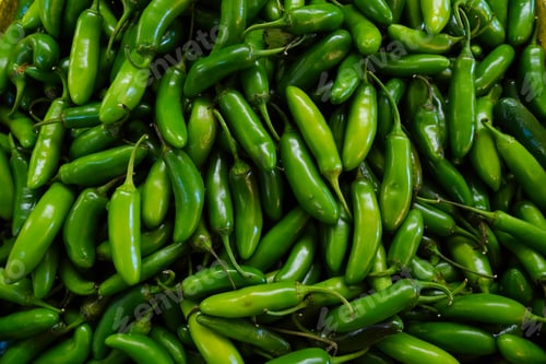 Preview: Closeup shot of jalapenos on each other in a market under the lights - perfect for food concepts