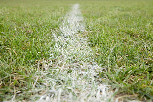 Preview: Line of a football pitch
