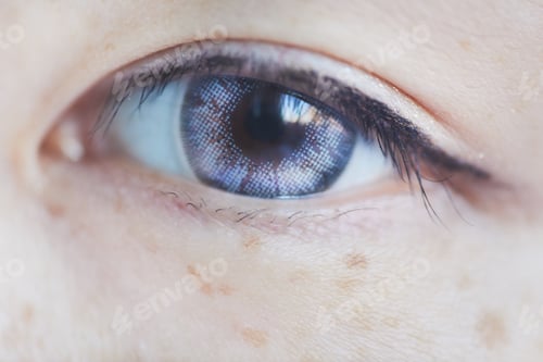 Preview: Asian Eye With Contact Lens