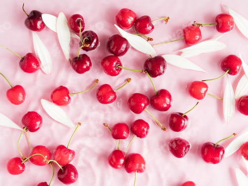 Preview: Cherry berry pattern with flowers and petals in water on pink background