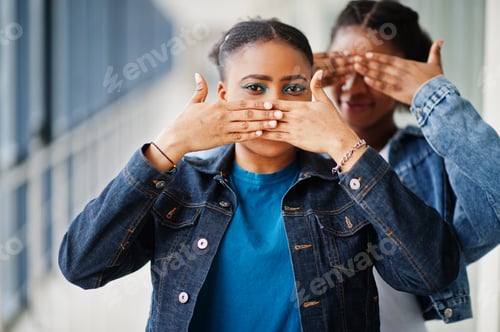 Vista previa: Two african woman friends