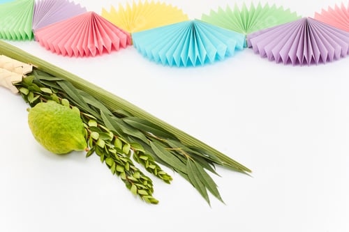 Preview: Sukkot Celebration Decor. A vibrant Sukkot setup featuring a lulav, etrog, and colorful paper fans