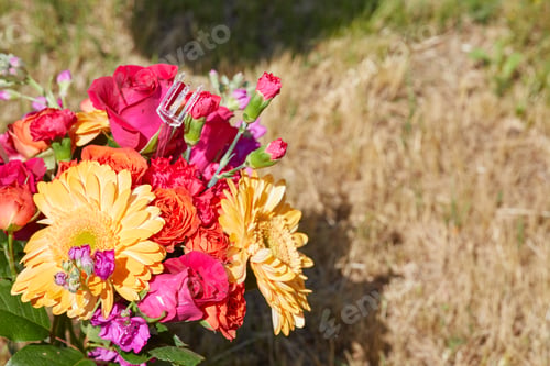 Preview: Bunch of Beautiful colorful flowers