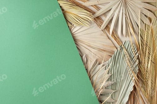 Preview: Tropical natural background with palm leaf on green. Flat lay, copy space
