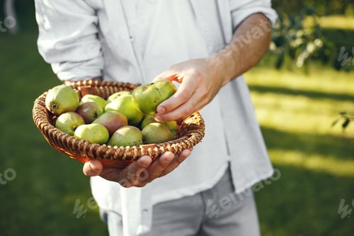 Preview: Portrait of smiling farmer holding apples basket