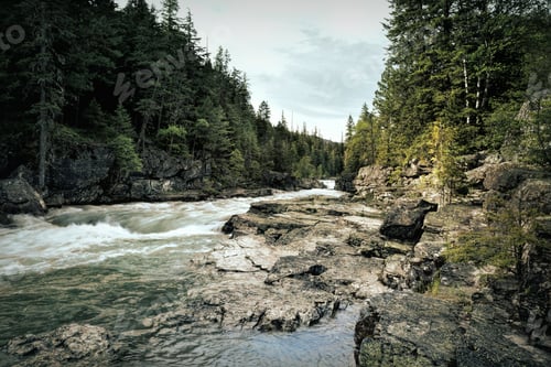 Preview: Rushing water of Avalanche Creek in Glacier National Park