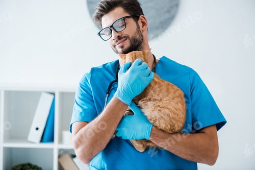 Preview: young, smiling veterinarian holding cute red cat on hands