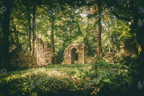 Preview: Ruins in the forest