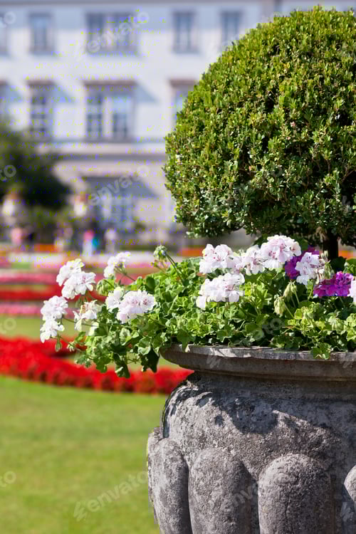 Preview: Elegant Flower Urn at Schonbrunn Palace Garden in Vienna