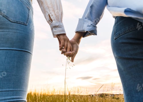 Preview: couple holding hands on a beautiful field at sunset