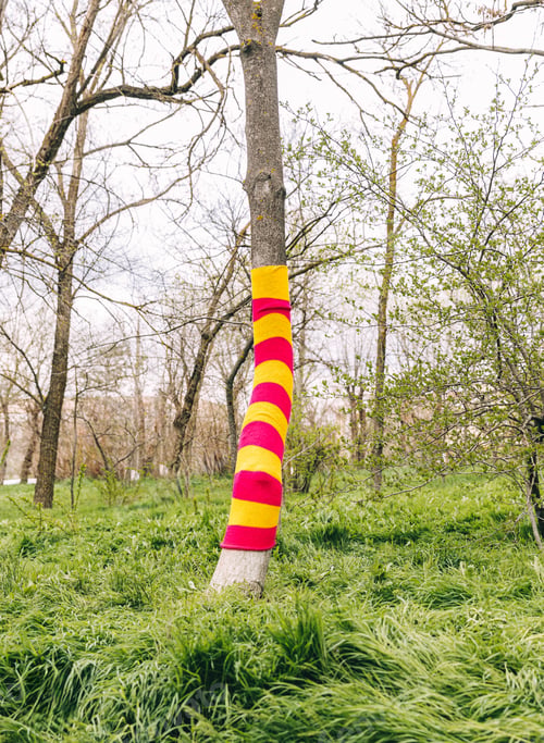 Preview: Yarnbombing transforms urban trees into vibrant art installations,
