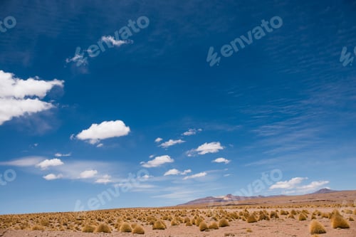 Preview: Sunshine desert field in Bolivia