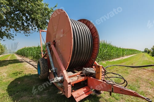 Preview: Water sprinkler installation in a field of corn.