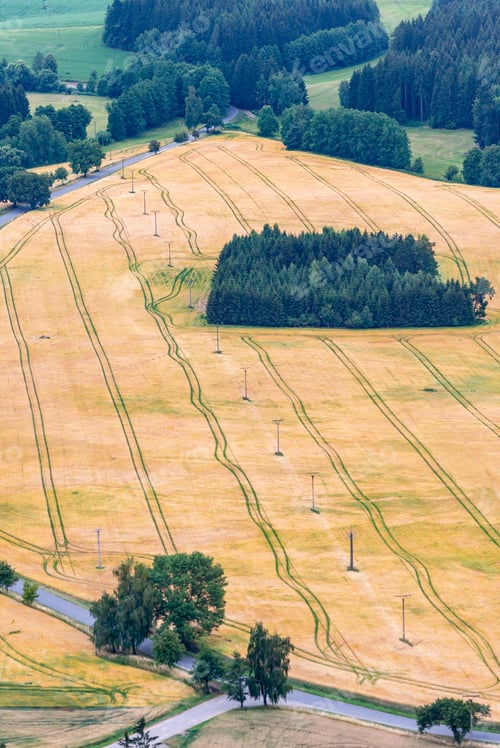 Preview: Vertical shot of yellow grass field with powerlines on it. Perfect for depicting rural scenarios.