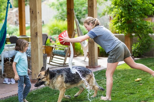 Preview: 13 year old girl washing her dog on green lawn