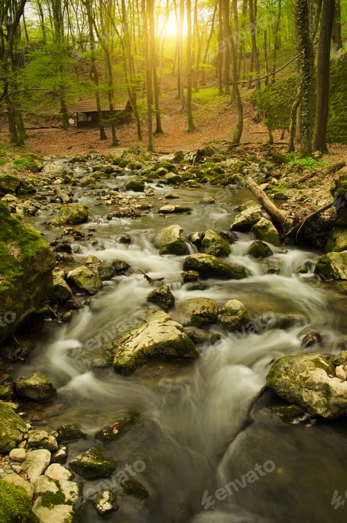 Preview: River in the woods