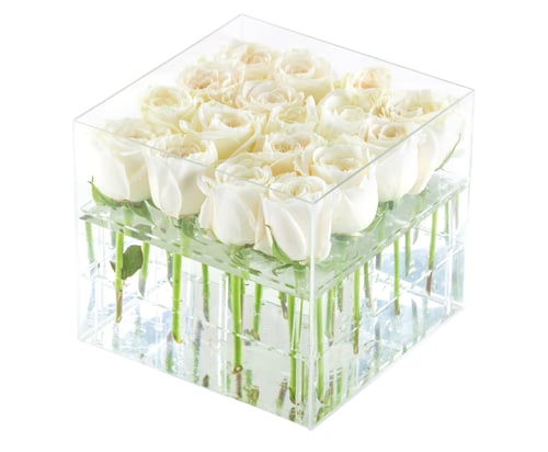 Preview: Bunch of white roses in container, with path