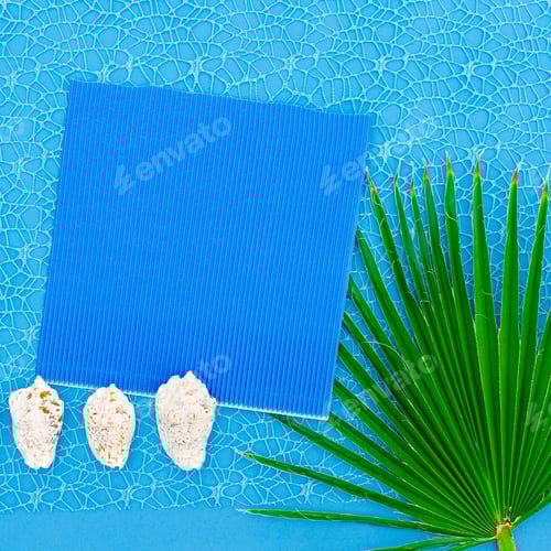 Preview: Tropical Leaf and Seashells on a Turquoise Background