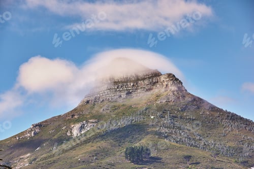 Preview: Lions Head