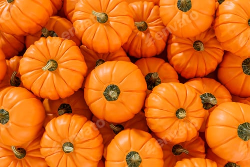 Preview: A pile of orange color fresh whole pumpkins placing on on top of each other from above view.