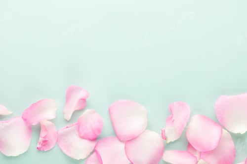 Preview: Rose flowers petals on pastel background. Valentines day background. Flat lay, top view, copy space.