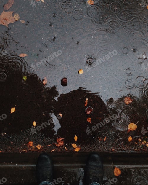 Preview: Rainy day