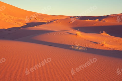 Preview: Sand desert