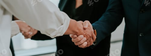 Preview: professional business people shaking hands, Finishing successful meeting, handshake with partner