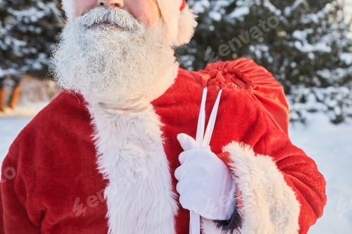 Preview: Santa Claus Carrying Sack
