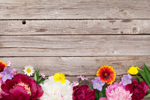 Preview: Garden flowers on wood