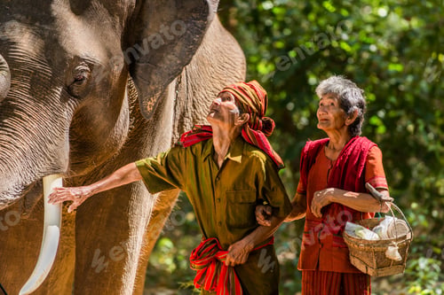 Aperçu: Elephant and senior couple in Thailand