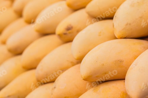 Preview: Ripe of mangoes placed in a row.