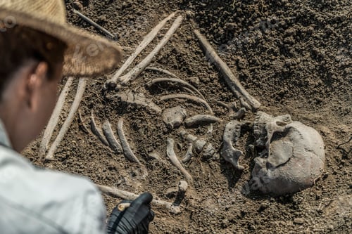 Preview: Archaeological Excavations - Ancient Human Skeleton