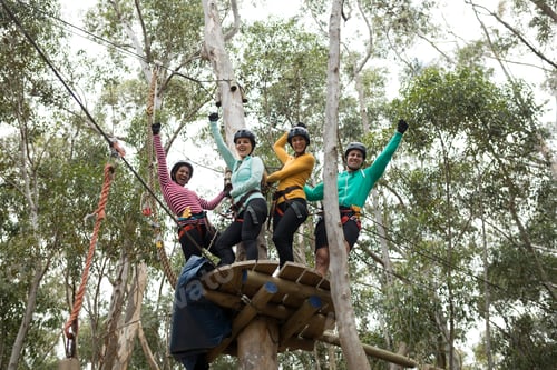 Preview: Friends enjoying zip line adventure in park