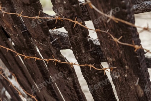 Preview: Burnt fence with barbed wire