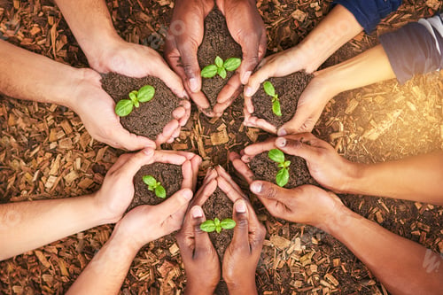 Preview: Something good has sprung up. Cropped shot of a group of people holding plants growing out of soil.