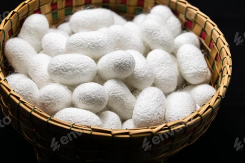 Preview: white silk cocoon, silky, fiber