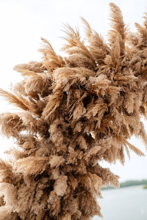 Preview: elegant wedding decorations made of natural flowers