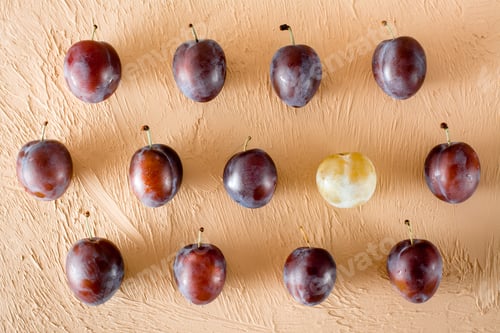 Preview: One yellow plum among blue plums on a beige background. Top view. Identity concept.