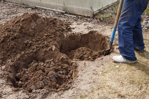 Preview: man digging a hole for planting a fruit tree in the garden