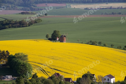 Preview: Gorgeous rural landscape with green sunny spring hills. South Moravia region, Czech Republic
