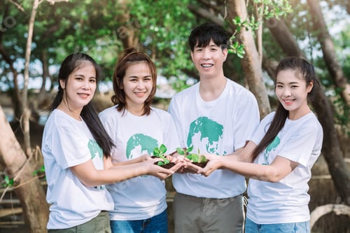 Preview: People volunteer conservation teamwork holding small plants seedling for growing in forest