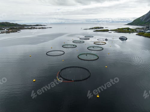 Preview: Aerial view of a fishing farm
