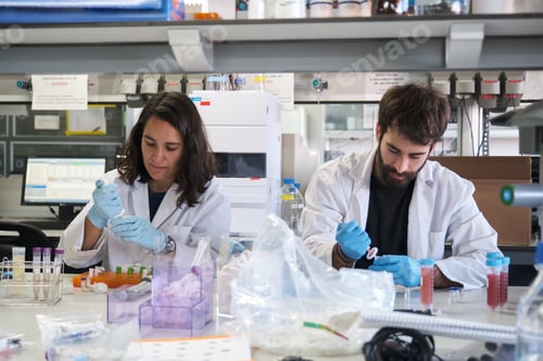 Preview: Two young researchers working in a real laboratory.